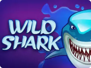 Wild Shark